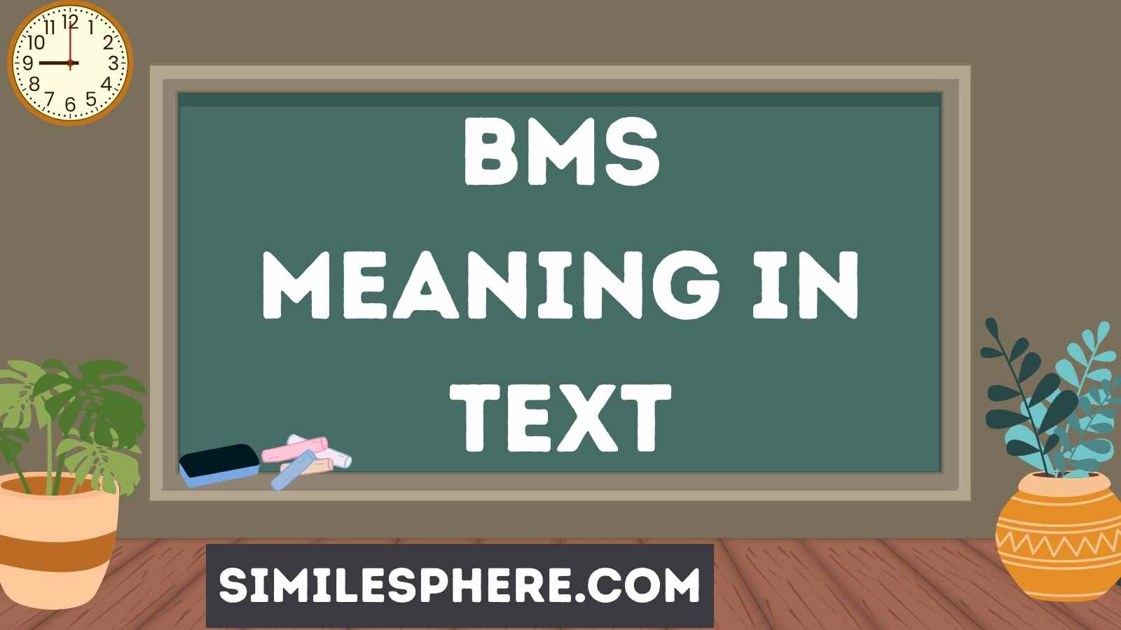 BMS Meaning in Text