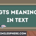 GTS Meaning in Text