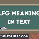 LFG Meaning in Text
