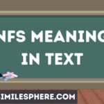 NFS Meaning in Text