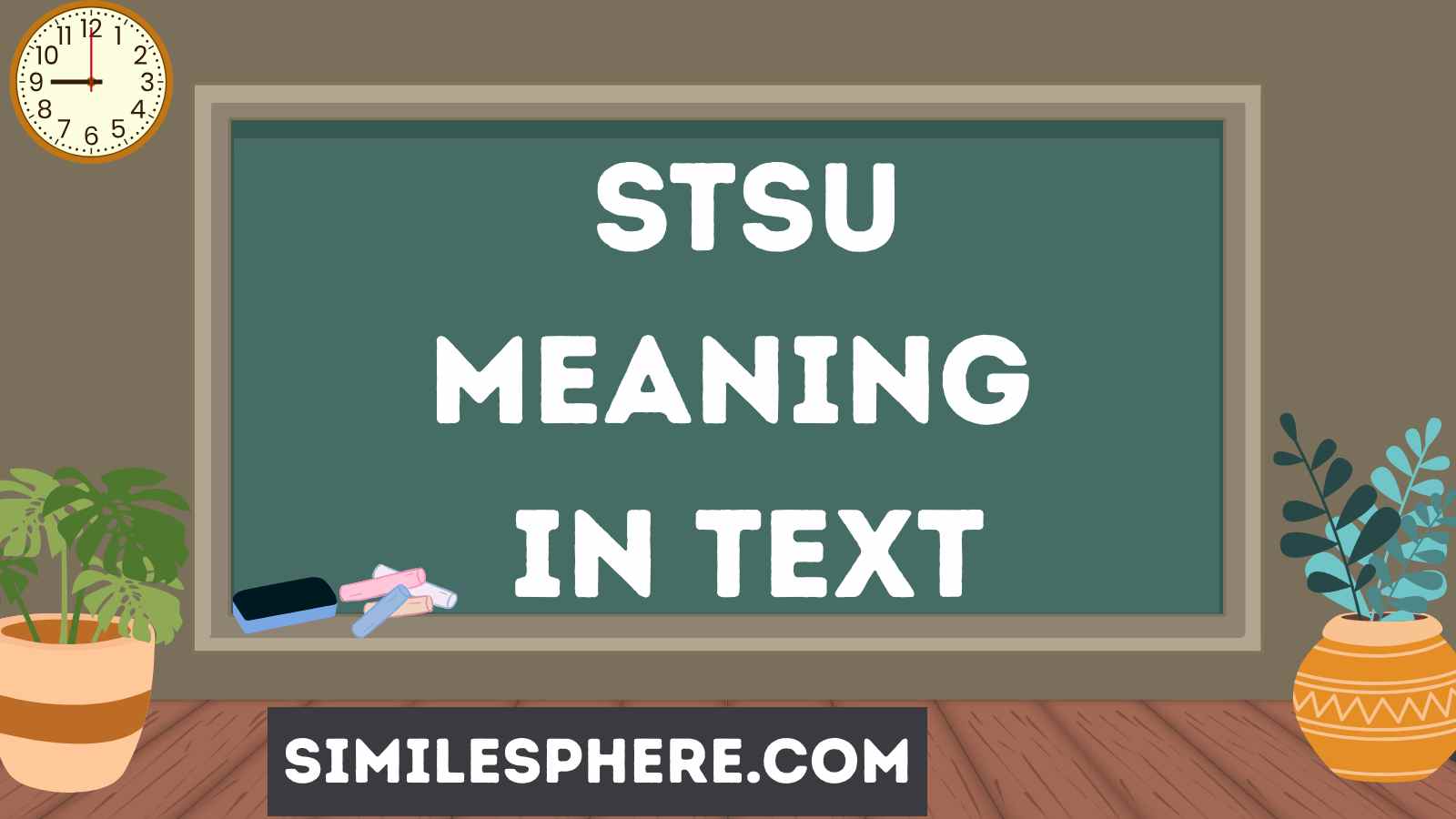 STSU Meaning in Text