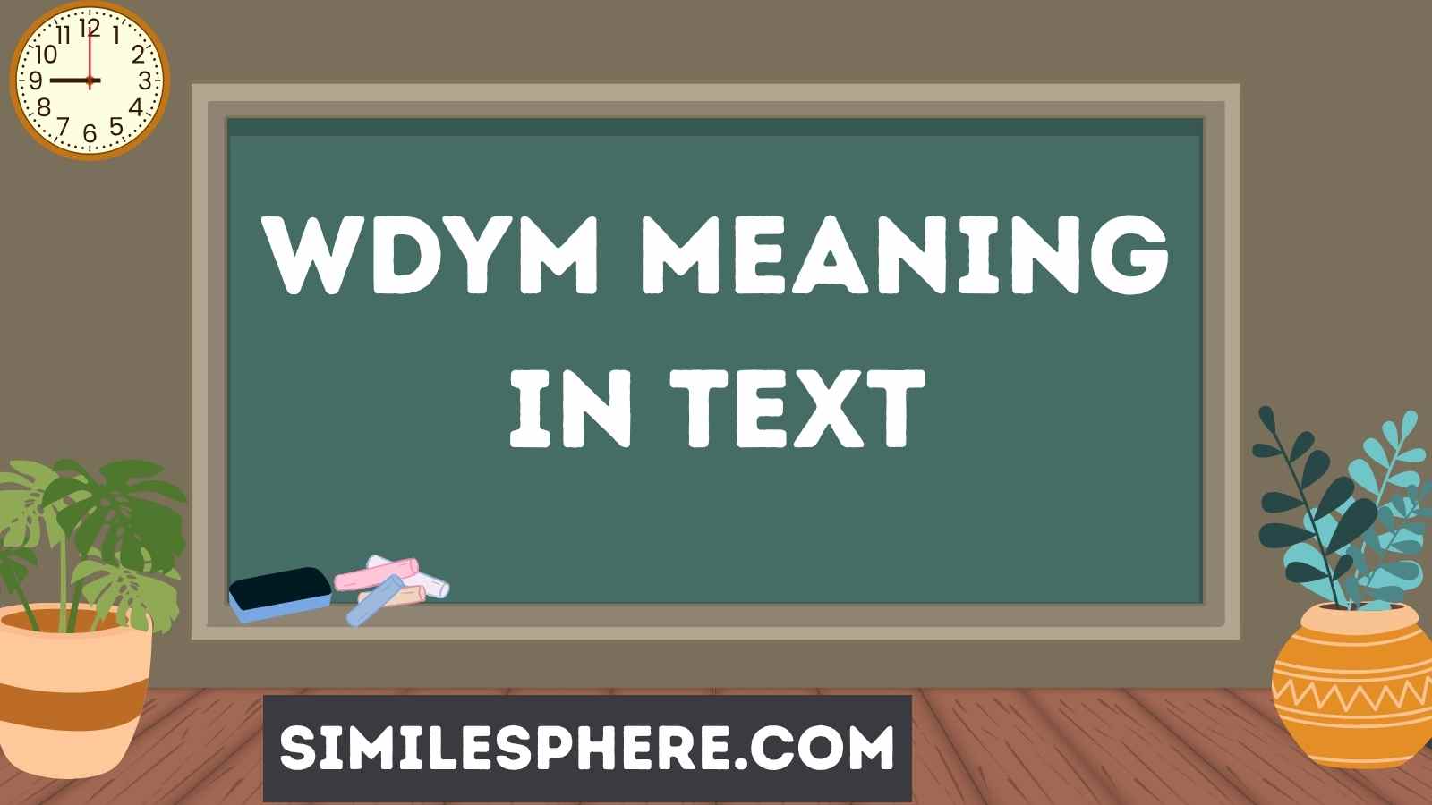 WDYM Meaning in Text