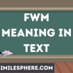 FWM Meaning in Text