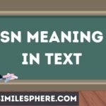 SN Meaning in Text