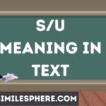 s/u Meaning in Text
