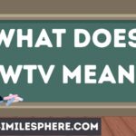 What Does WTV Mean