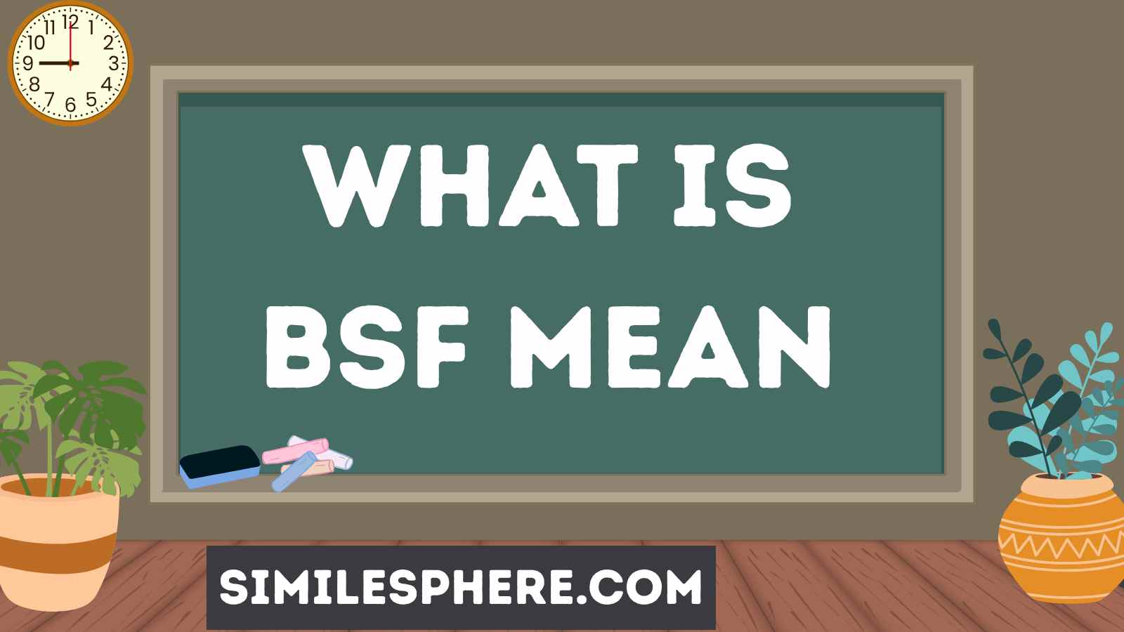 What Is BSF Mean